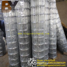 Concrete Hot-Dipped Galvanized Welded Wire Mesh